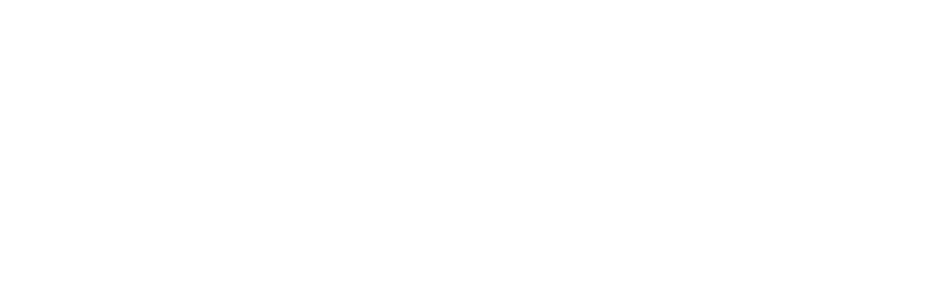 ZOONOSIS EL TABO
